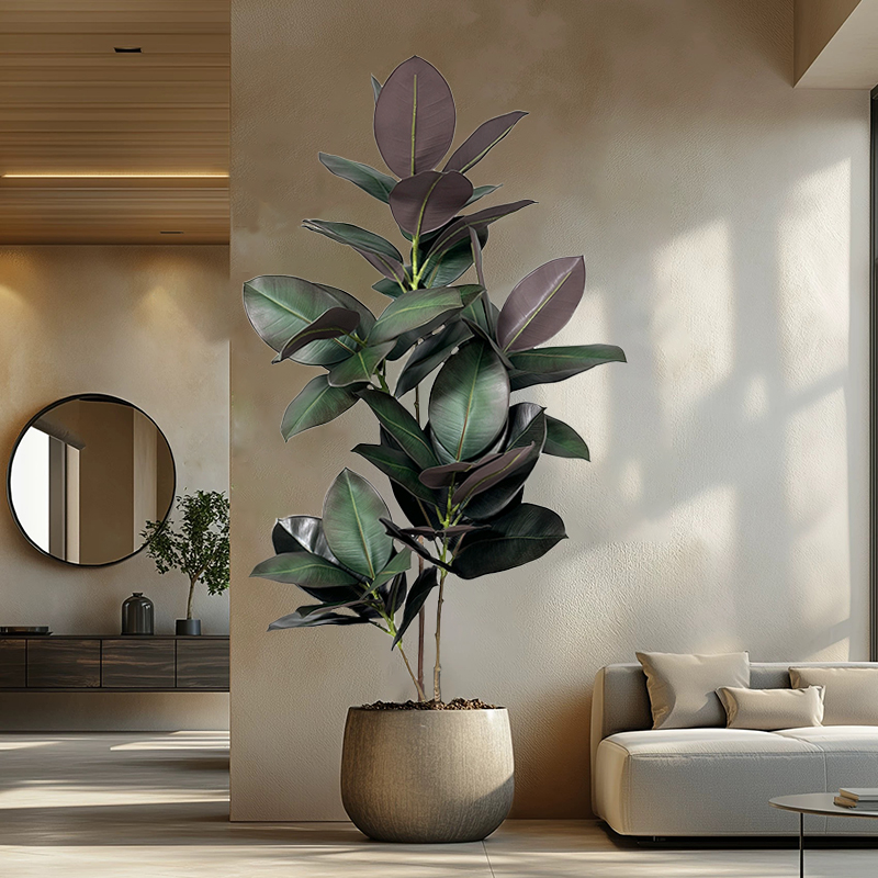 Rubber Plant Ficus - ต้นไทรประดิษฐ์ขนาด 70-150 ซม. ต้นไม้เขตร้อนปลอม กิ่งยางพลาสติก สีเขียว