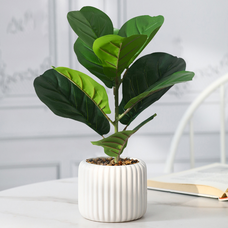 Rubber Plant Ficus - 38 ซม.Ficus Tree ประดิษฐ์ Fiddle ใบ
