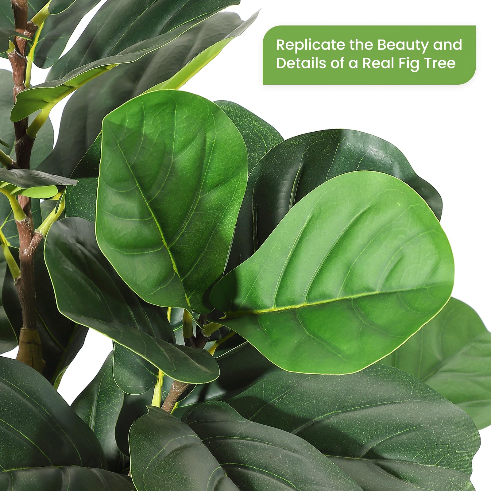 ต้นมะเดื่อใบแฉกประดิษฐ์พร้อมกร - Rubber Plant Ficus บทวิจารณ์และราคา
