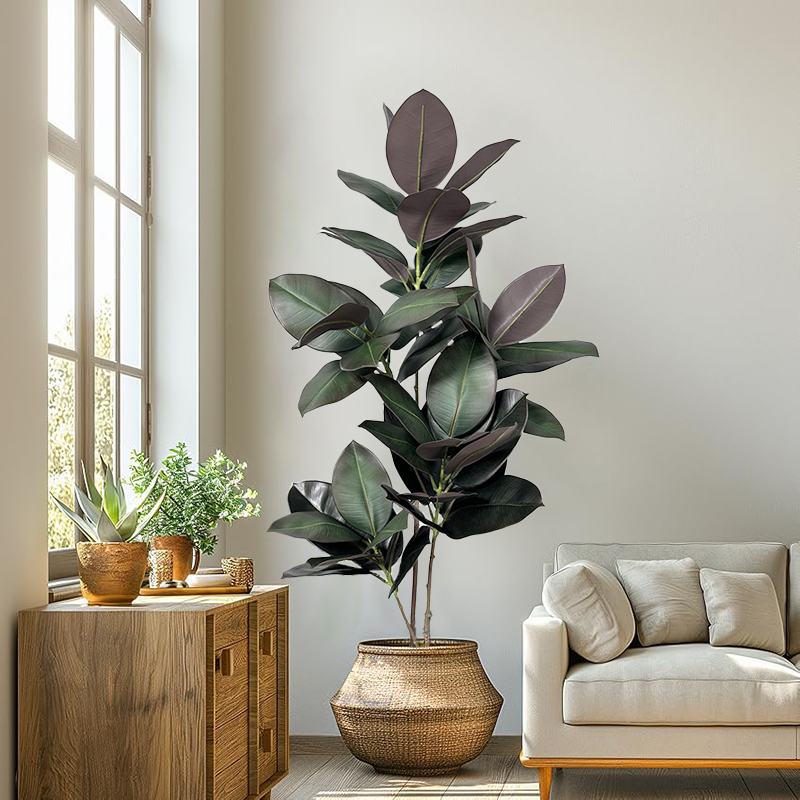 ต้นไทรประดิษฐ์ขนาด 70-150 ซม.  - Rubber Plant Ficus บทวิจารณ์และราคา