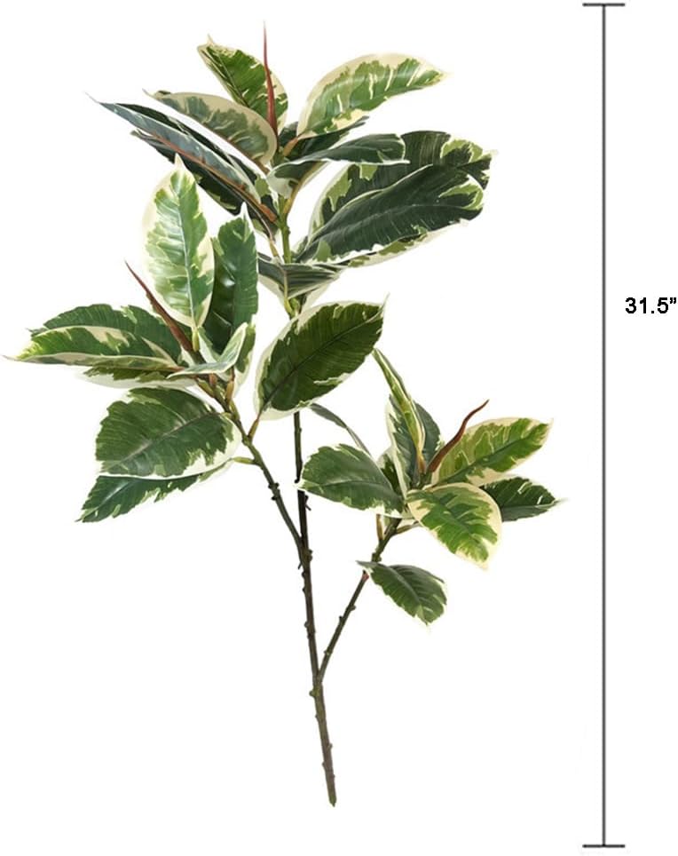 Ficus Tineke ประดิษฐ์ 31 