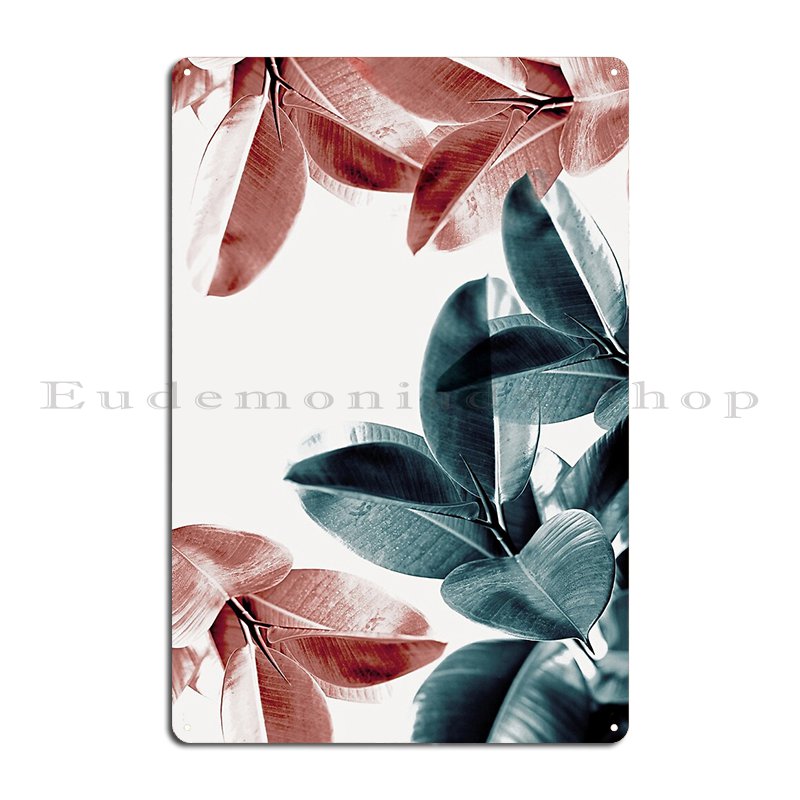ยางพืชใบสีเขียวและสีชมพูใบ Tro - Rubber Plant Ficus บทวิจารณ์และราคา