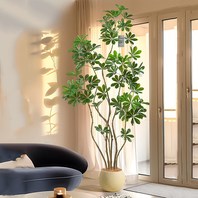 ต้นไทรเทียมขนาดใหญ่31-74in ต้น - Rubber Plant Ficus บทวิจารณ์และราคา