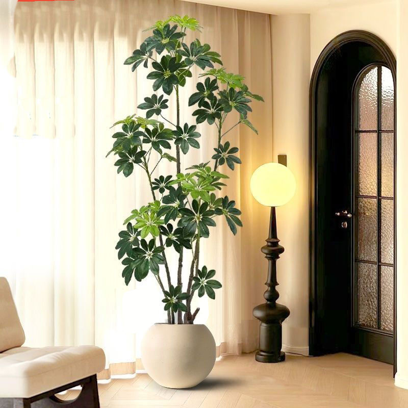 ต้นไทรเทียมขนาดใหญ่31-74in ต้น - Rubber Plant Ficus บทวิจารณ์และราคา