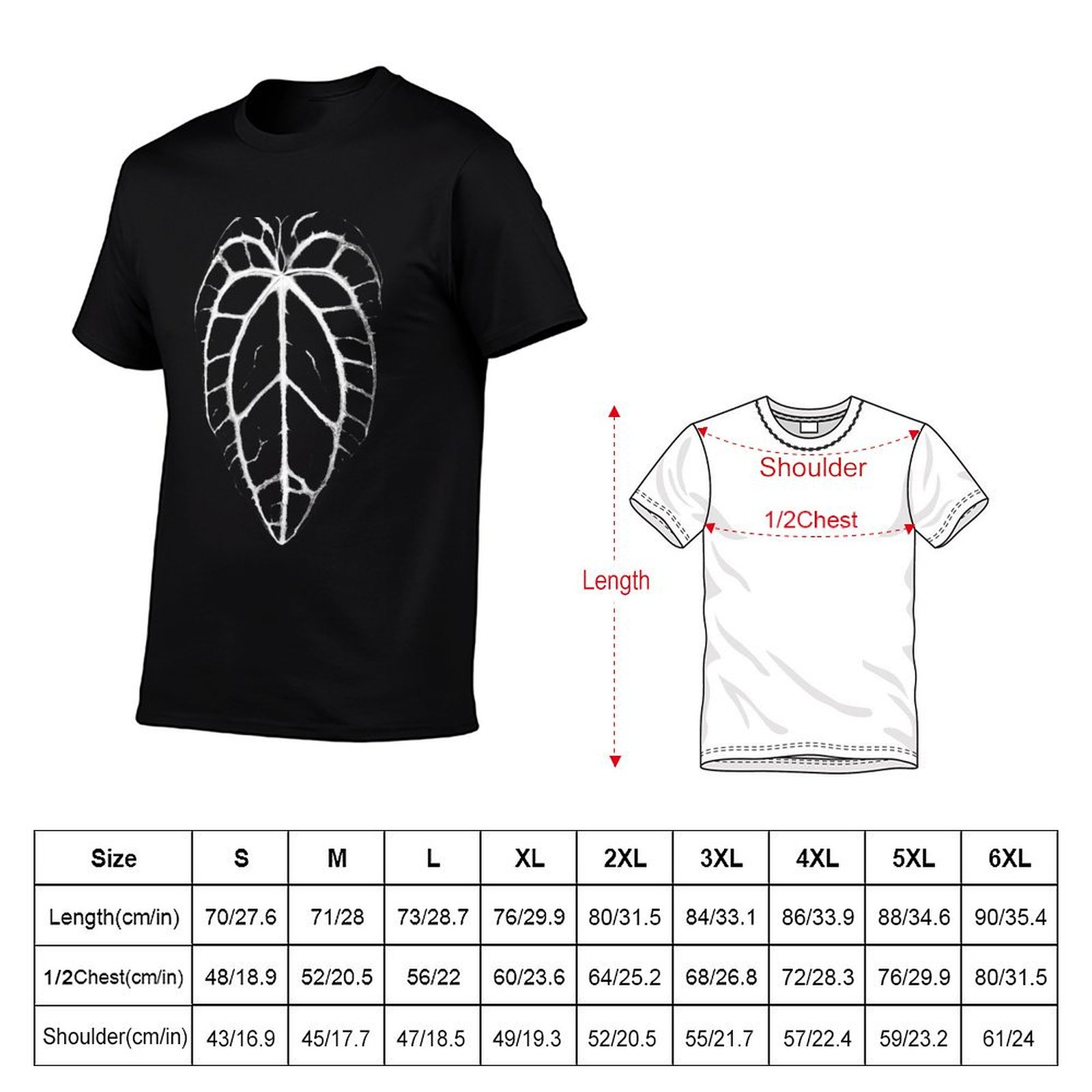 ANTHURIUM CRYSTALLINUM VEINS เ - Anthurium Crystallinum บทวิจารณ์และราคา