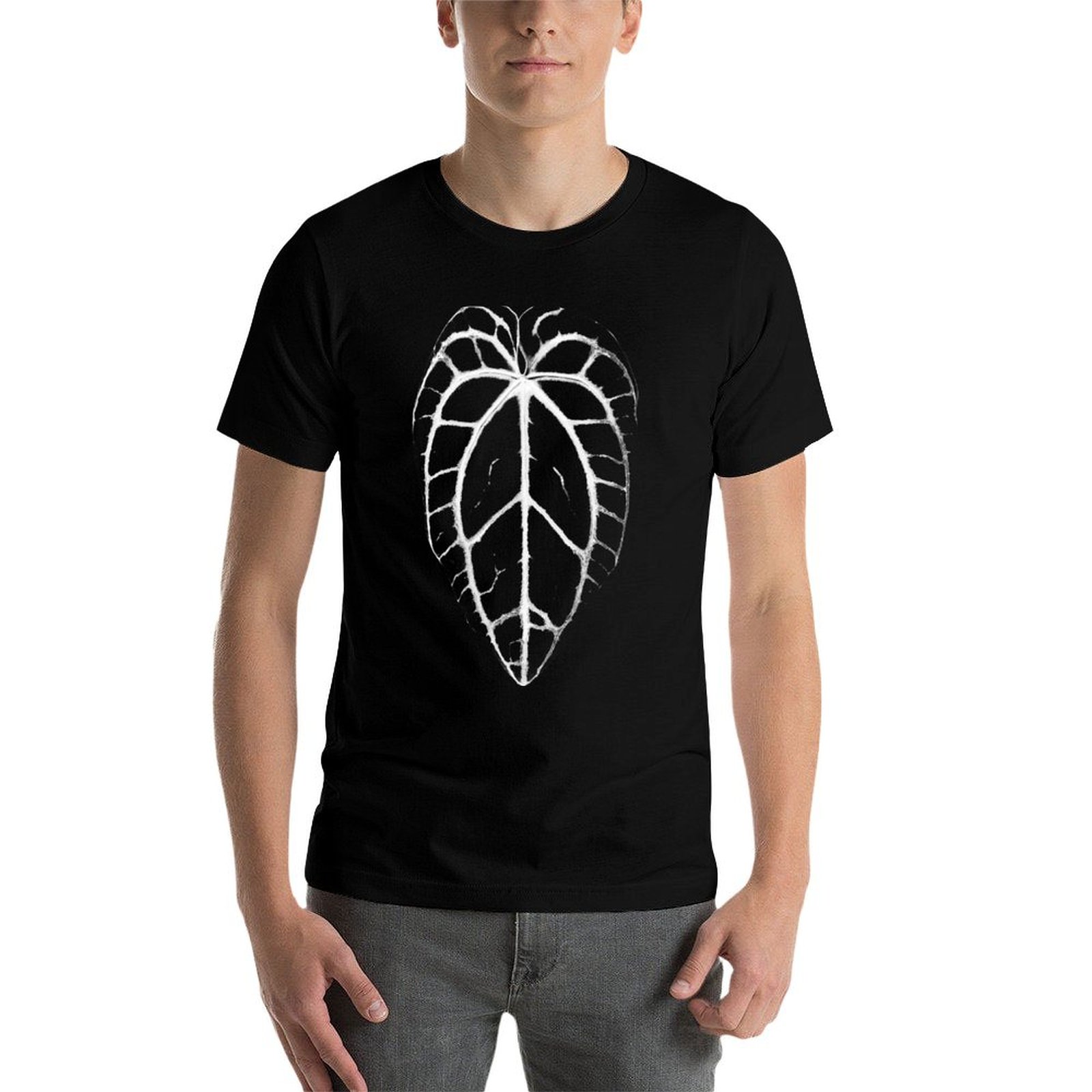 ANTHURIUM CRYSTALLINUM VEINS เ - Anthurium Crystallinum บทวิจารณ์และราคา