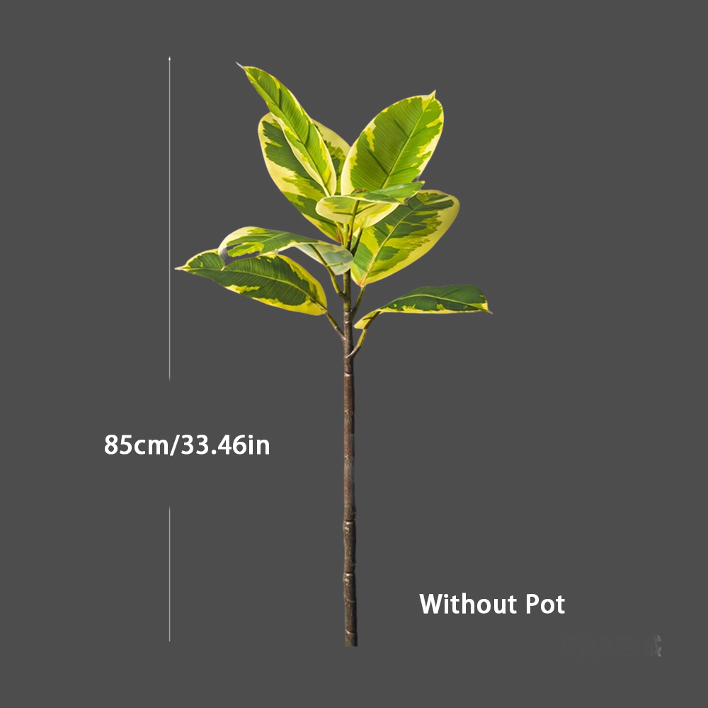 ต้นไม้ยางพาราปลอมขนาดใหญ่ 85-1 - Rubber Plant Ficus บทวิจารณ์และราคา