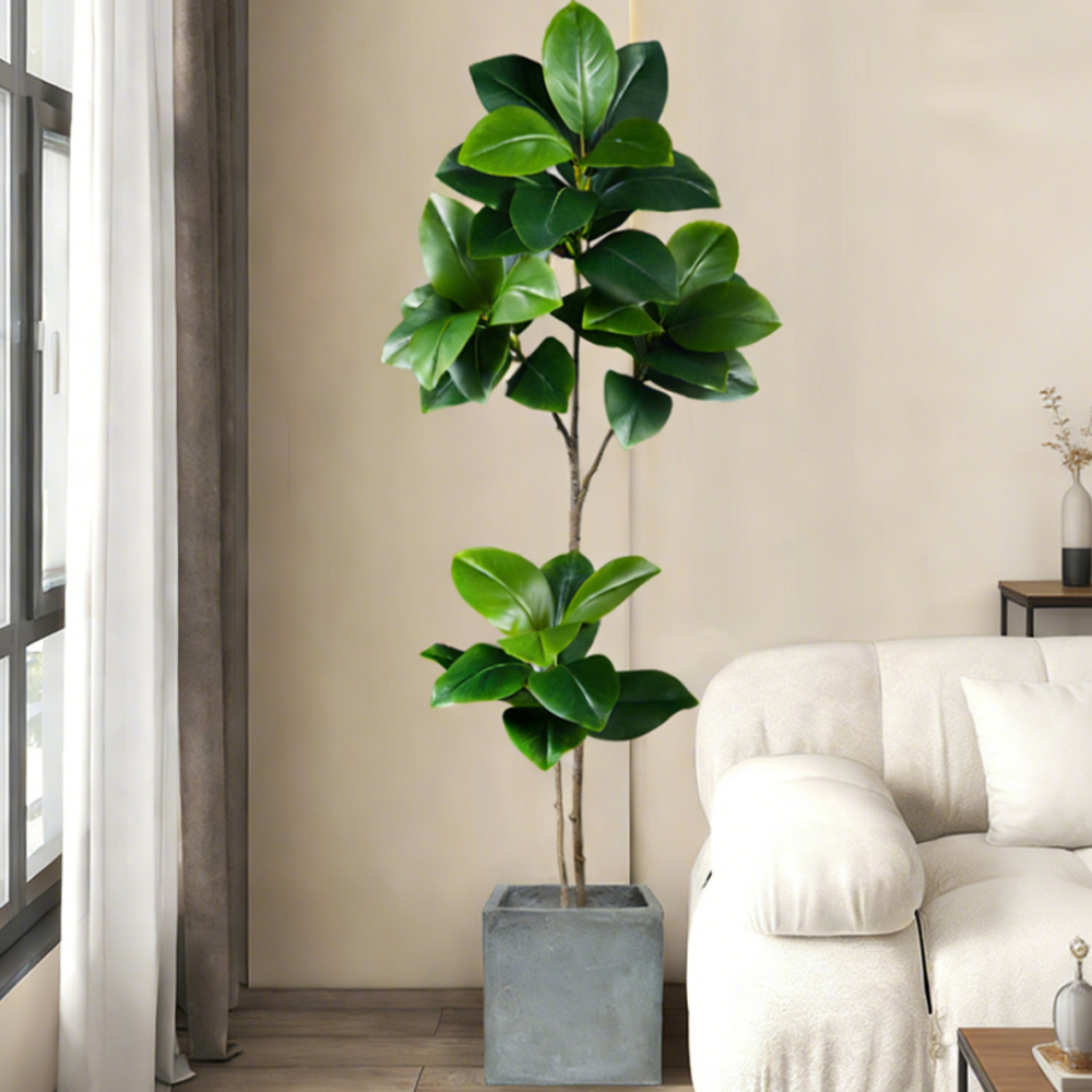 ต้นยางพาราปลอมขนาด 74-140 ซม.  - Rubber Plant Ficus บทวิจารณ์และราคา
