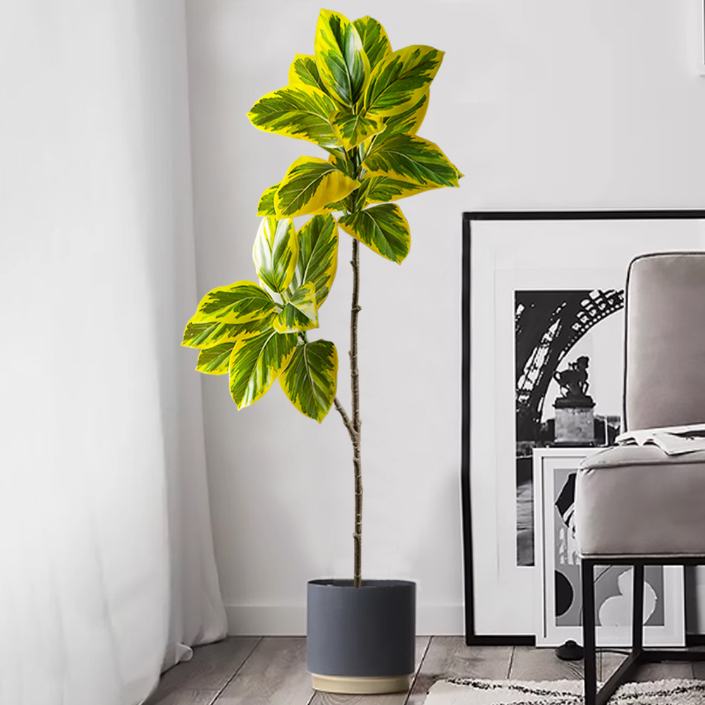 70-130 ซม.ประดิษฐ์ Banyan Tree - Rubber Plant Ficus บทวิจารณ์และราคา
