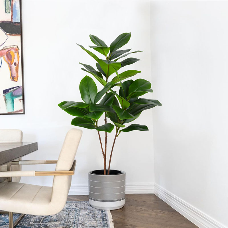 ต้นไทรปลอมขนาดใหญ่แบบเขตร้อน51 - Rubber Plant Ficus บทวิจารณ์และราคา