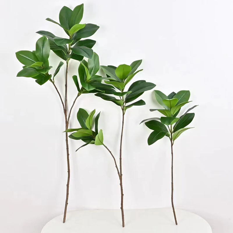 ต้นไทรปลอมขนาดใหญ่แบบเขตร้อน51 - Rubber Plant Ficus บทวิจารณ์และราคา