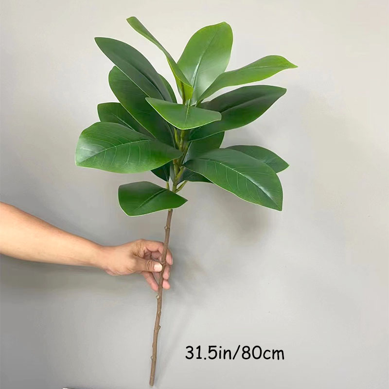 ต้นไทรปลอมขนาดใหญ่แบบเขตร้อน51 - Rubber Plant Ficus บทวิจารณ์และราคา