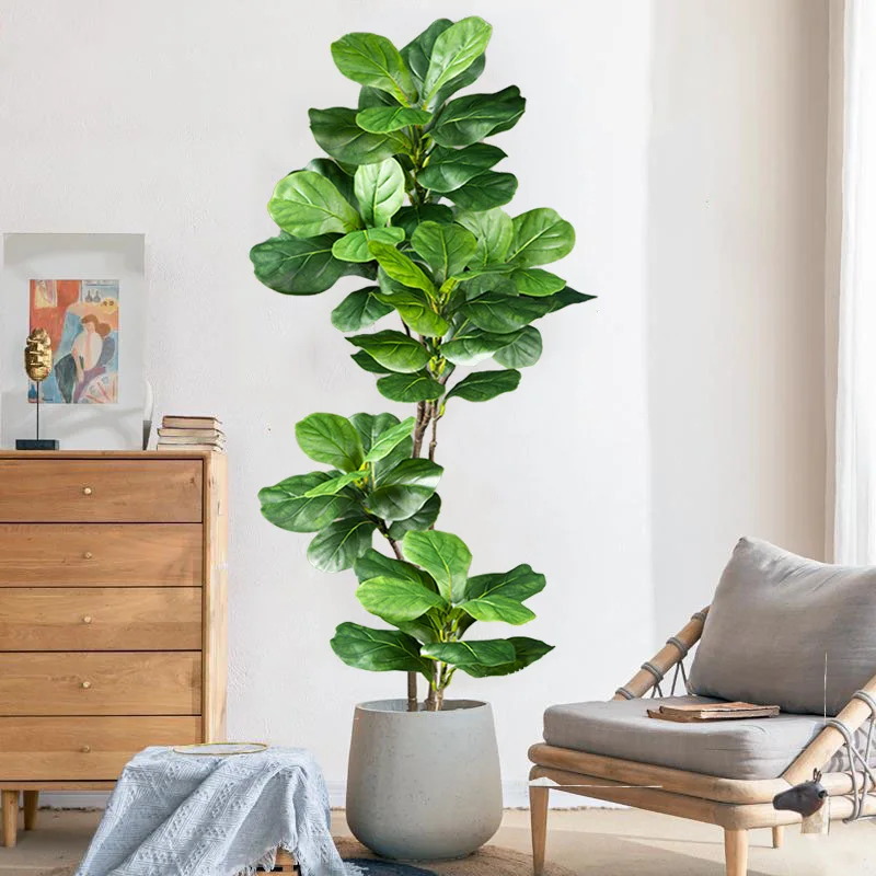 ต้นไทรประดิษฐ์ขนาดใหญ่ 2-4.9 ฟ - Rubber Plant Ficus บทวิจารณ์และราคา