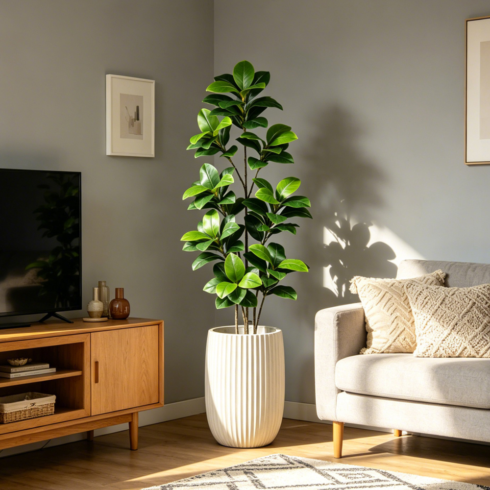 ต้นไทรประดิษฐ์ขนาดใหญ่ 74-140  - Rubber Plant Ficus บทวิจารณ์และราคา